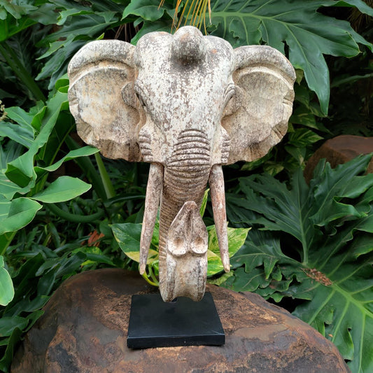 Cabeça de Elefante em Madeira com Base 45cm
